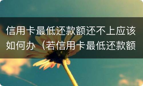 信用卡最低还款额还不上应该如何办（若信用卡最低还款额度还不上）
