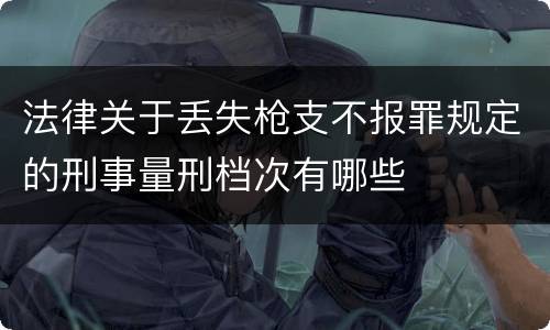 法律关于丢失枪支不报罪规定的刑事量刑档次有哪些