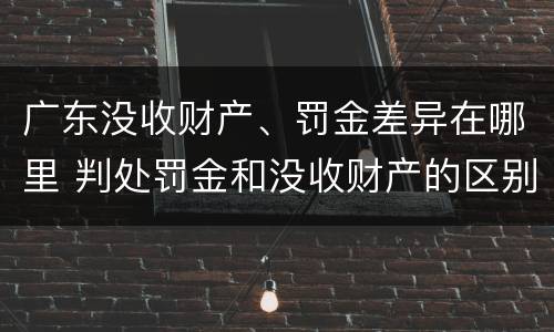 广东没收财产、罚金差异在哪里 判处罚金和没收财产的区别