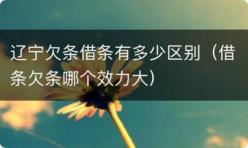 辽宁欠条借条有多少区别(借条欠条哪个效力大)