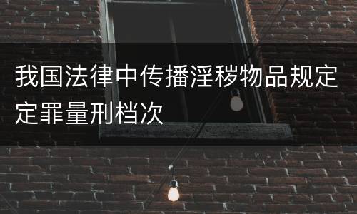 我国法律中传播淫秽物品规定定罪量刑档次