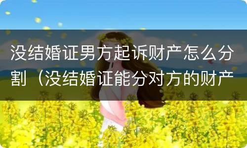 没结婚证男方起诉财产怎么分割（没结婚证能分对方的财产吗）