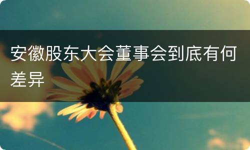 安徽股东大会董事会到底有何差异