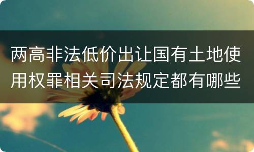 两高非法低价出让国有土地使用权罪相关司法规定都有哪些