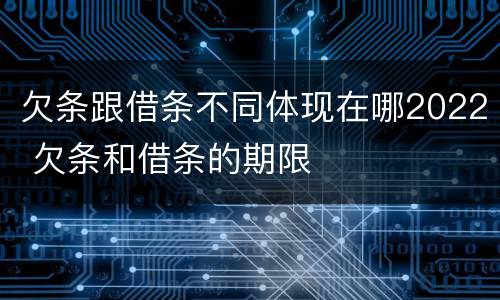 欠条跟借条不同体现在哪2022 欠条和借条的期限