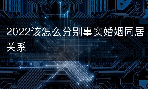 2022该怎么分别事实婚姻同居关系