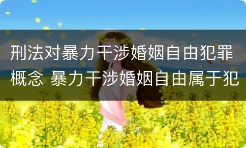 刑法对暴力干涉婚姻自由犯罪概念 暴力干涉婚姻自由属于犯罪吗