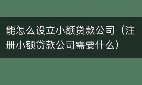 能怎么设立小额贷款公司（注册小额贷款公司需要什么）
