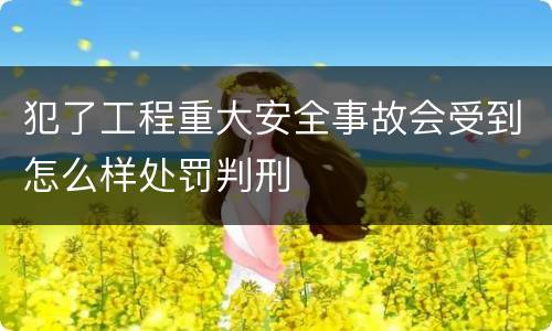 犯了工程重大安全事故会受到怎么样处罚判刑