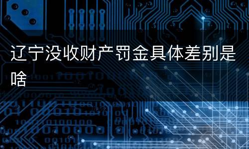 辽宁没收财产罚金具体差别是啥