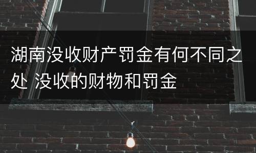 湖南没收财产罚金有何不同之处 没收的财物和罚金