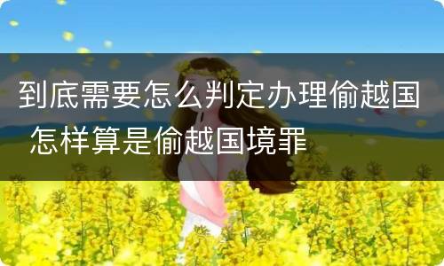到底需要怎么判定办理偷越国 怎样算是偷越国境罪