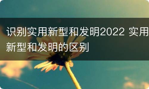 识别实用新型和发明2022 实用新型和发明的区别