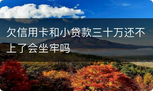 欠信用卡和小贷款三十万还不上了会坐牢吗