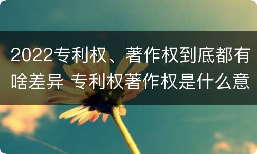2022专利权、著作权到底都有啥差异 专利权著作权是什么意思