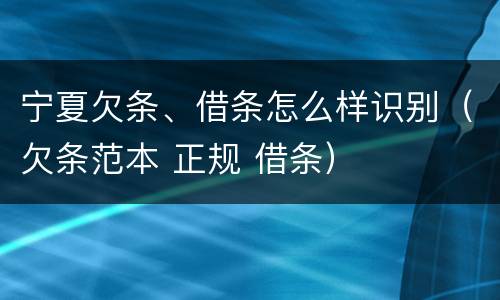 宁夏欠条、借条怎么样识别（欠条范本 正规 借条）