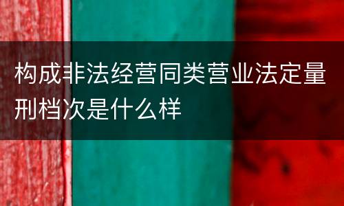 构成非法经营同类营业法定量刑档次是什么样