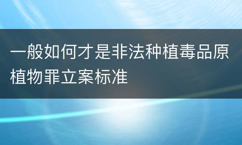 一般如何才是非法种植毒品原植物罪立案标准