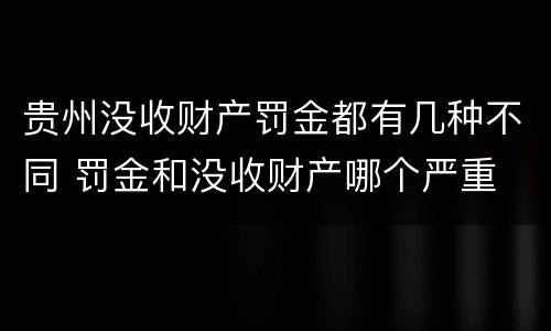 贵州没收财产罚金都有几种不同 罚金和没收财产哪个严重