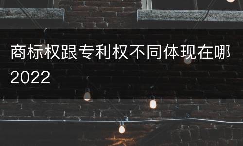 商标权跟专利权不同体现在哪2022