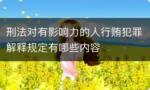 刑法对有影响力的人行贿犯罪解释规定有哪些内容