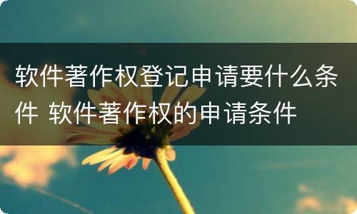 软件著作权登记申请要什么条件 软件著作权的申请条件