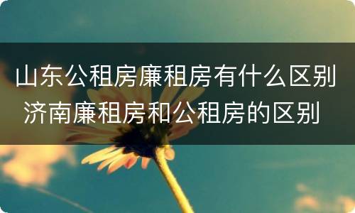 山东公租房廉租房有什么区别 济南廉租房和公租房的区别