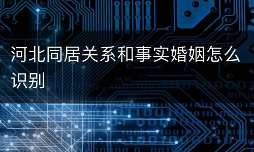 河北同居关系和事实婚姻怎么识别