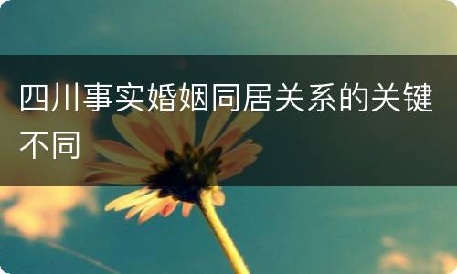 四川事实婚姻同居关系的关键不同