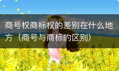 商号权商标权的差别在什么地方（商号与商标的区别）