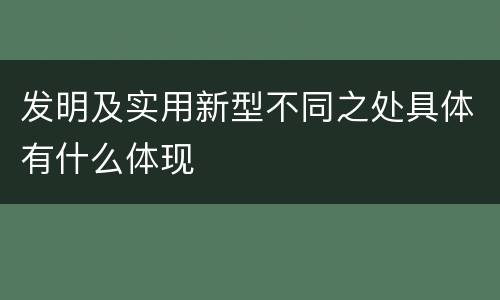 发明及实用新型不同之处具体有什么体现