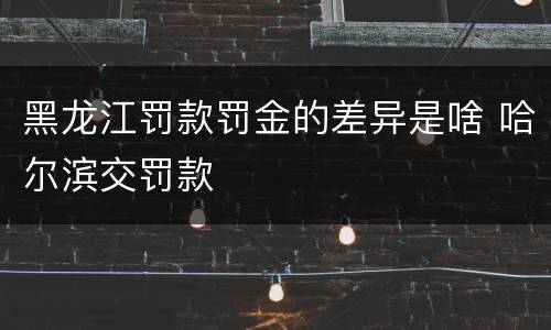 黑龙江罚款罚金的差异是啥 哈尔滨交罚款