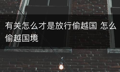 有关怎么才是放行偷越国 怎么偷越国境