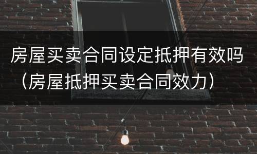 房屋买卖合同设定抵押有效吗（房屋抵押买卖合同效力）