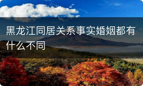 黑龙江同居关系事实婚姻都有什么不同