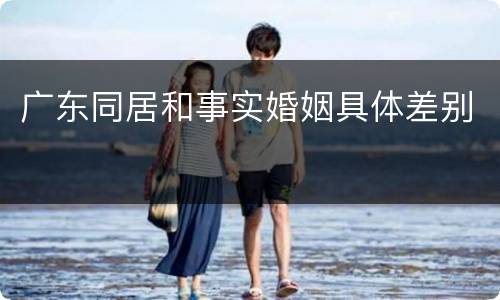 广东同居和事实婚姻具体差别
