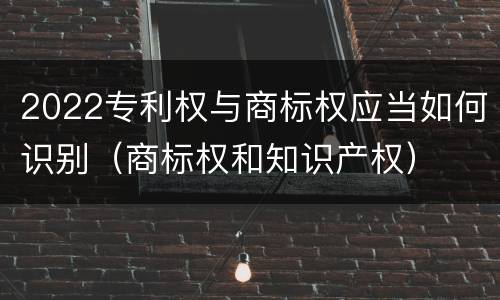 2022专利权与商标权应当如何识别（商标权和知识产权）