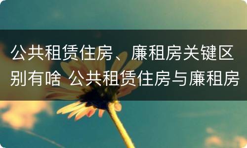 公共租赁住房、廉租房关键区别有啥 公共租赁住房与廉租房的区别