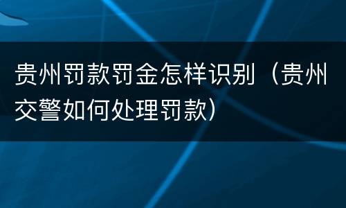 贵州罚款罚金怎样识别（贵州交警如何处理罚款）