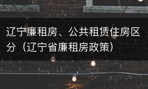 辽宁廉租房、公共租赁住房区分（辽宁省廉租房政策）