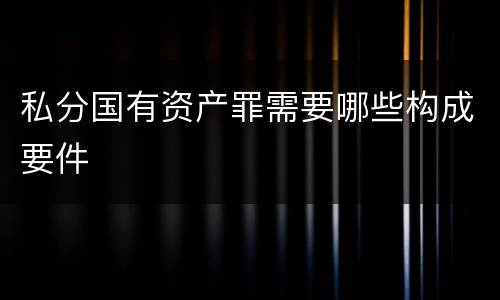 私分国有资产罪需要哪些构成要件