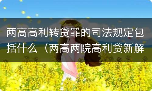 两高高利转贷罪的司法规定包括什么（两高两院高利贷新解释）