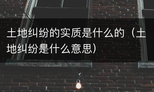 土地纠纷的实质是什么的（土地纠纷是什么意思）
