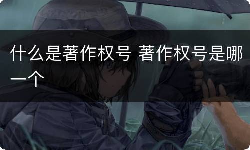 什么是著作权号 著作权号是哪一个