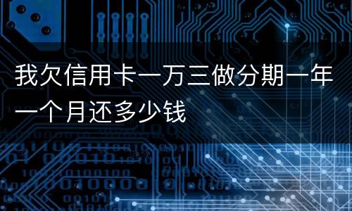 我欠信用卡一万三做分期一年一个月还多少钱