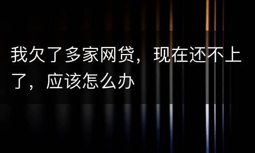 我欠了多家网贷，现在还不上了，应该怎么办