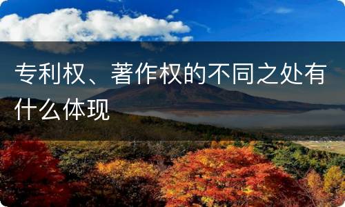 专利权、著作权的不同之处有什么体现