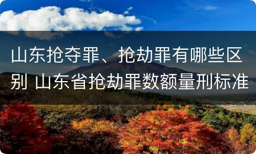 山东抢夺罪、抢劫罪有哪些区别 山东省抢劫罪数额量刑标准
