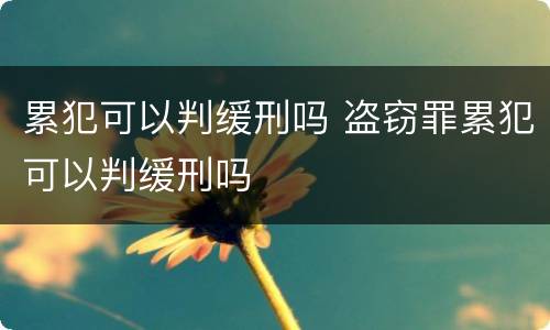 累犯可以判缓刑吗 盗窃罪累犯可以判缓刑吗