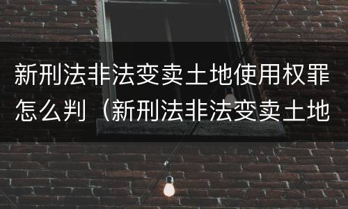 新刑法非法变卖土地使用权罪怎么判（新刑法非法变卖土地使用权罪怎么判定）